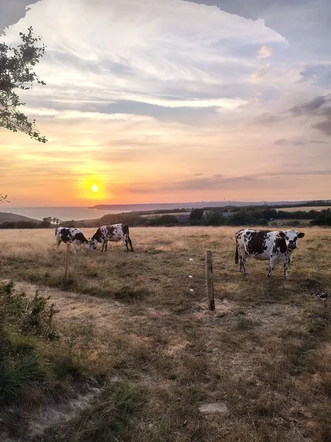 Visite libre de la Ferme des Monts