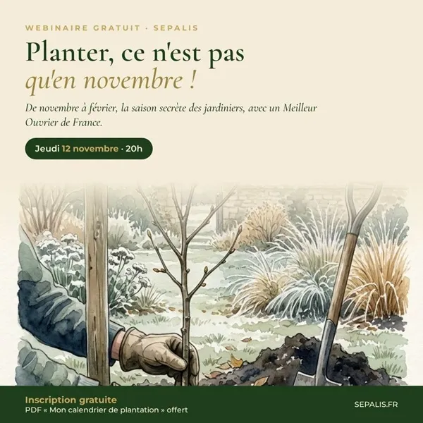 Webinaire Planter, ce n'est pas qu'en novembre !