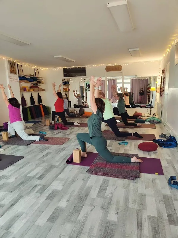 Yoga vinyasa & voyage sonore