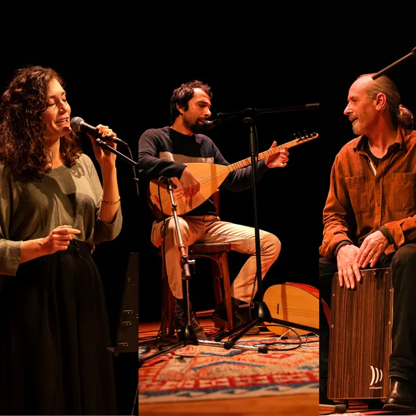 Concerts - Groupes locaux