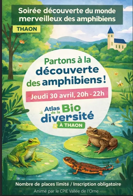 La soirée découverte du monde merveilleux des amphibiens