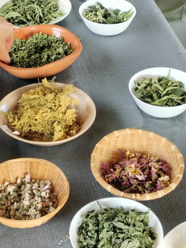Atelier confection de tisane