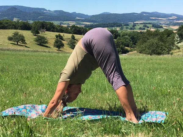 Yoga sous les poiriers