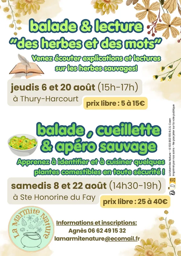Ateliers découverte des plantes sauvages
