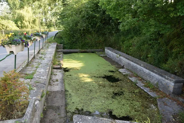 Visite libre du lavoir de Secqueville en bessin | Journées du Patrimoine