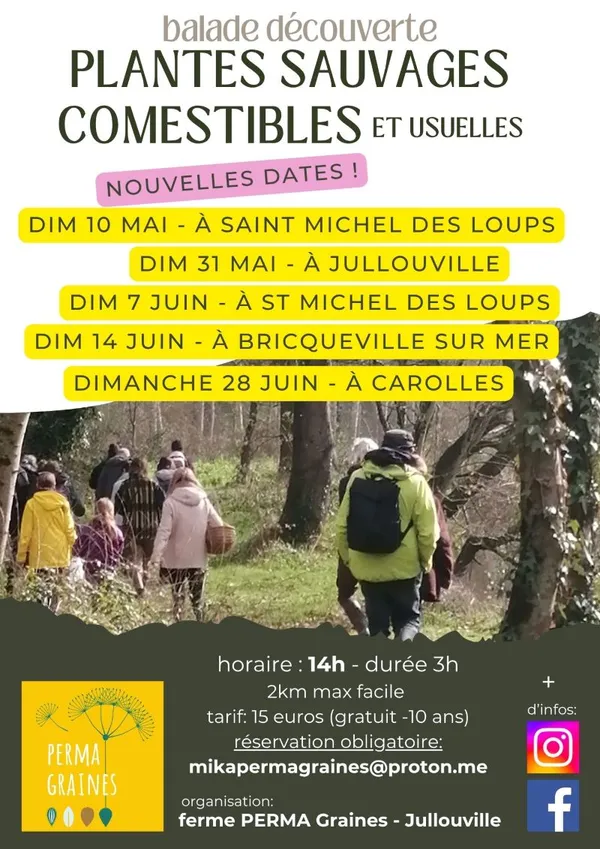Balade plantes sauvages comestibles