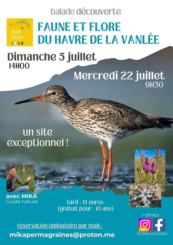 Balade découverte de la faune et de la flore du Havre de la Vanlée