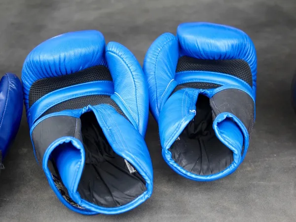 Journée Boxe à Beuzeville