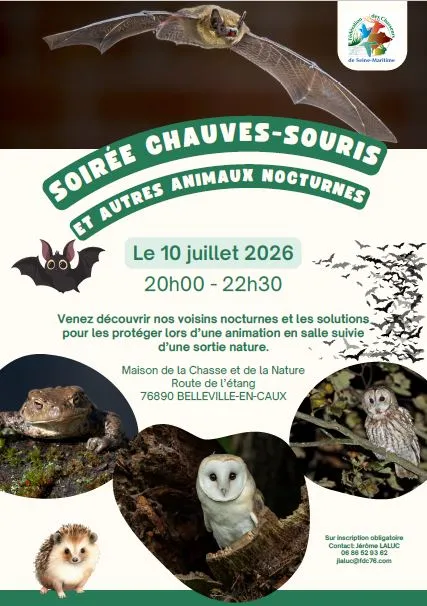 Soirée chauves-souris et autres animaux nocturnes