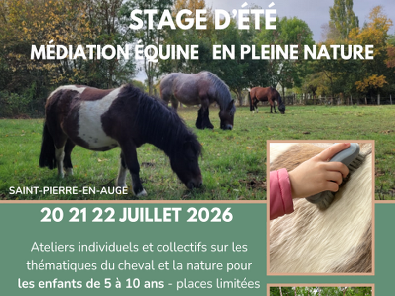 Stage d'été médiation équine en plein nature