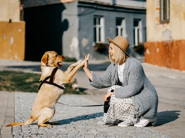 Dogs lover Tour