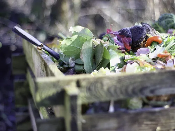 Le compost, un jeu d'enfant ! 