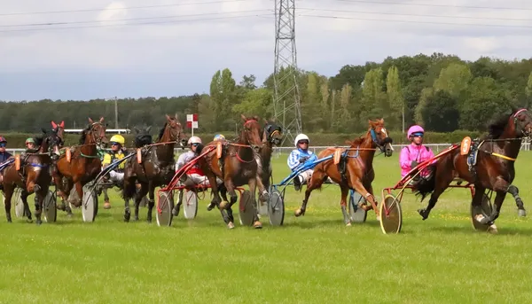 Courses hippiques