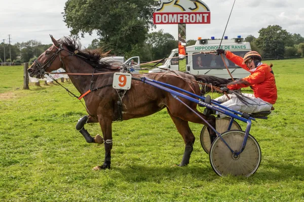 Courses hippiques de Domfront