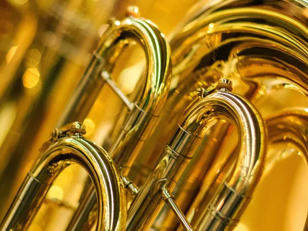 Fête de la musique à l'Orangerie du Château de Motteville