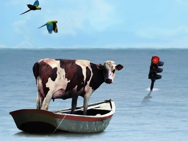 Exposition : "Debout les vaches, la mer monte !"