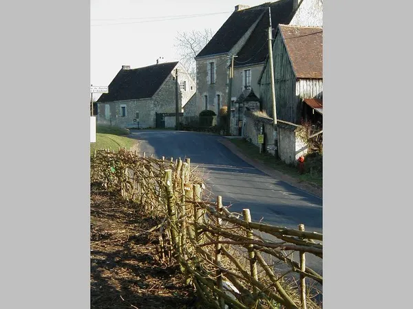 S'initier au plessage des haies