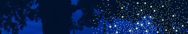 La nuit essentielle : Château vivant !