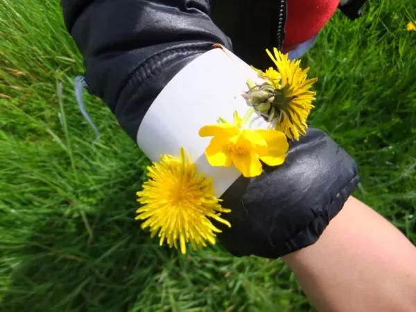 Animation nature - Bijoux nature