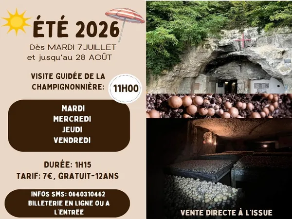 Média additionnel 1