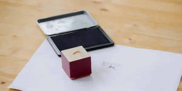 Atelier "Fabrique à tampons : Biodiversité"