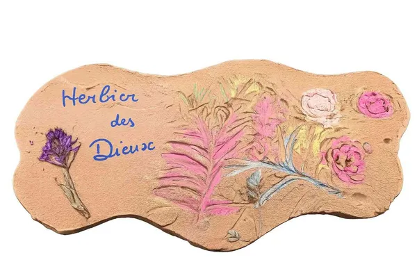 Atelier "l'herbier des Dieux" dès 5 ans