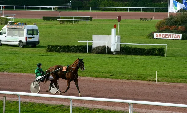 Courses de trot - Premium - Quinté +