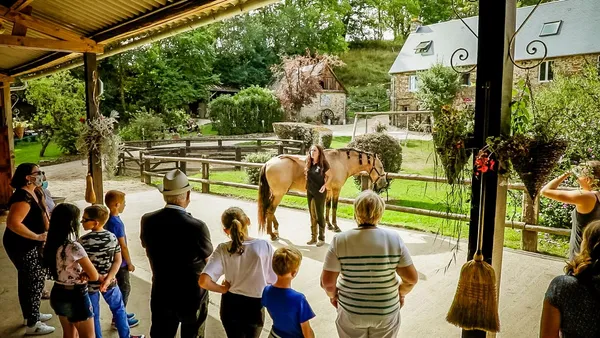 L'Envers du décor : visitez les coulisses du théâtre équestre