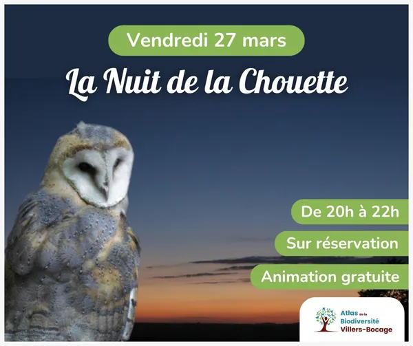 La Nuit de la Chouette à Villers-Bocage