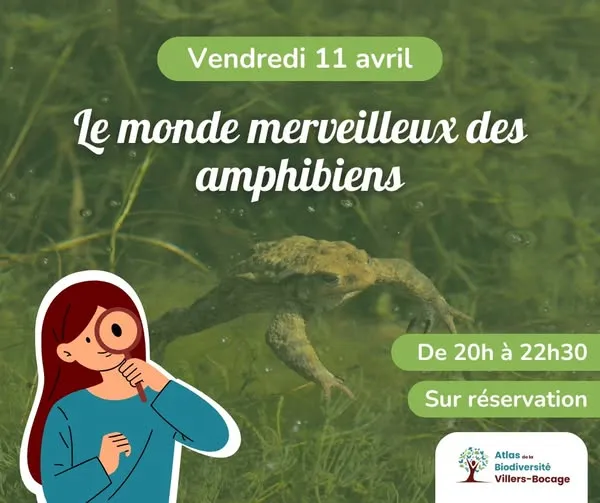 Le monde merveilleux des amphibiens à Villers-Bocage