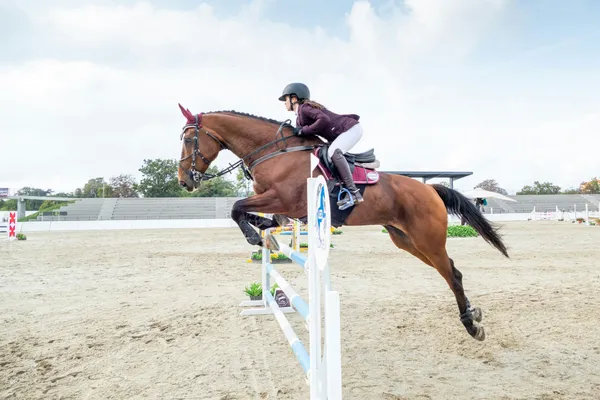 Beauregard au galop