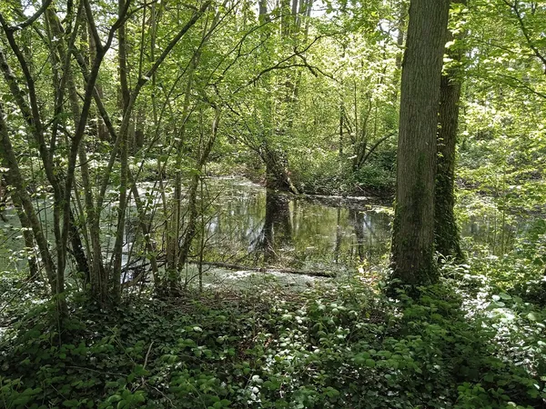 Vendredis "nature" : de l'argile au pot