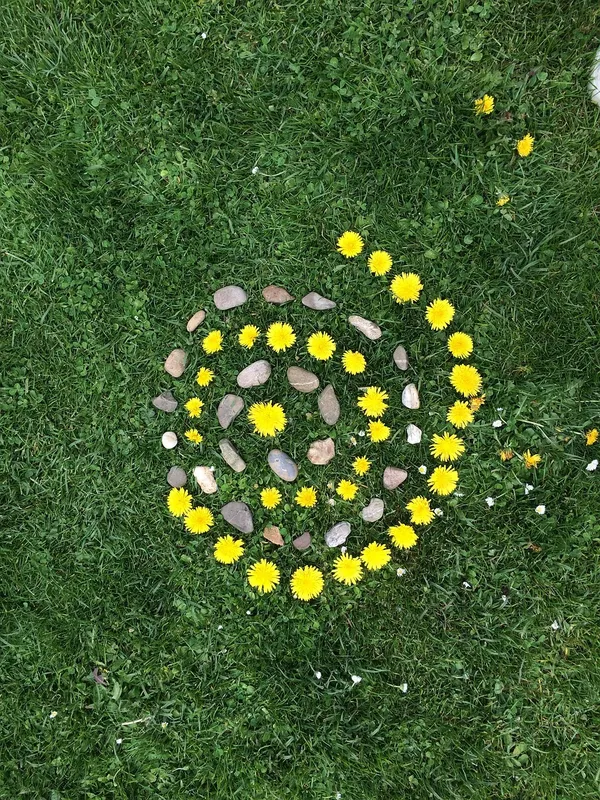 [Sortie nature] Land-Art en Forêt d'Arques
