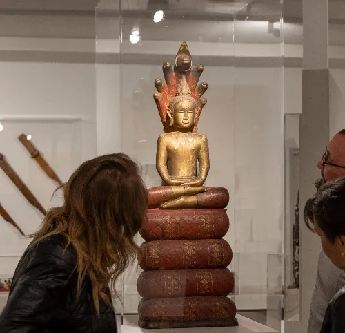 Suivez le guide au Musée des Beaux Arts et de la Dentelle
