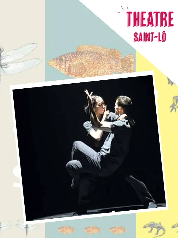 Théâtre > 9.2 Cas public
