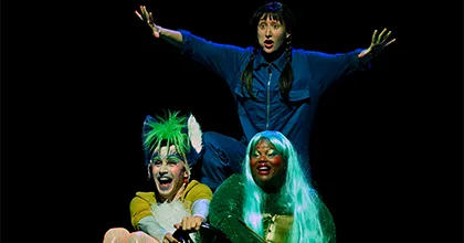 Théâtre marionnettes : Peau d'âne la fête est finie