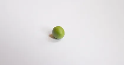 Festival Anthroposcènes 2027 : Géopolitique du petit pois