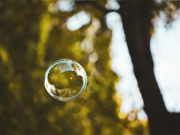 Séance de sophrologie "Bulle de nature"