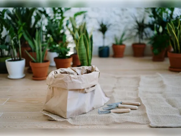 Troc de plantes
