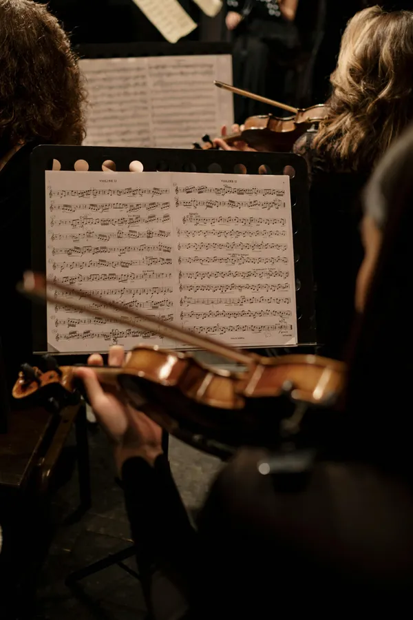 Concert Ensemble Vivaldi