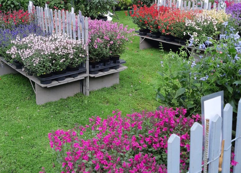 Plantes en Fête - 29e édition