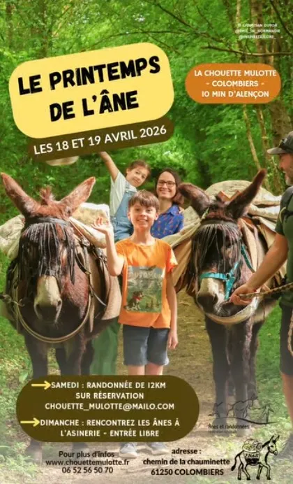 Le printemps de l'âne
