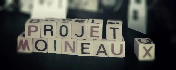 Résidence d'artistes : Projet moineau(x)