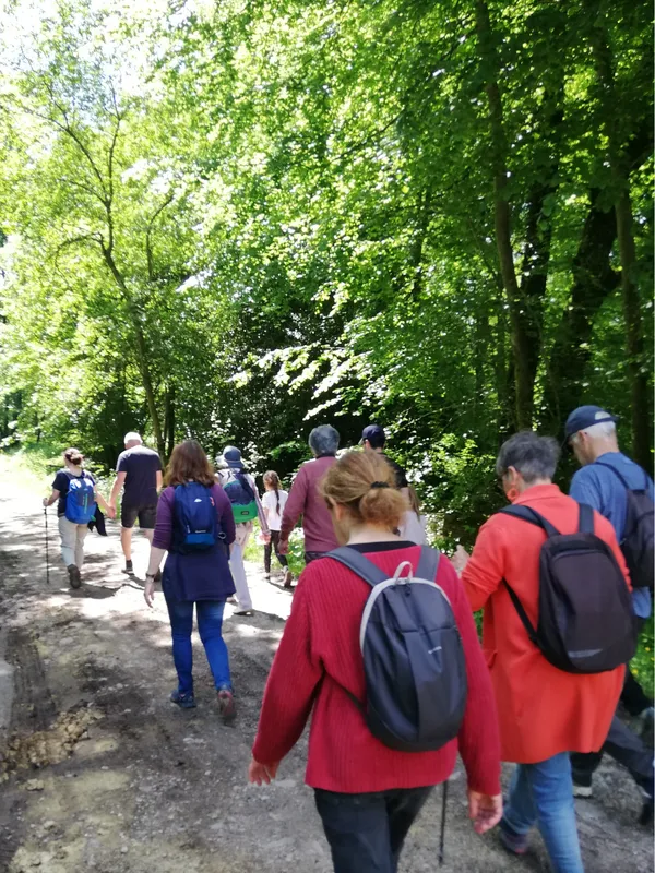 Entre forêt et patrimoine : balade au Bourg-Saint-Léonard