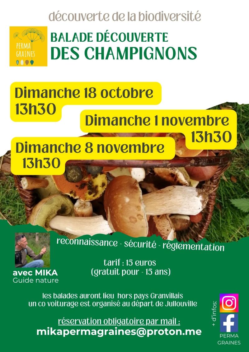 Balade découverte des champignons comestibles