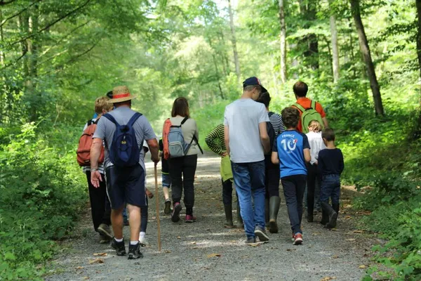 Tous en forêt