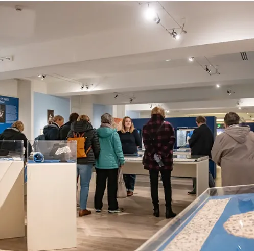 Suivez le guide au Musée des Beaux Arts et de la Dentelle
