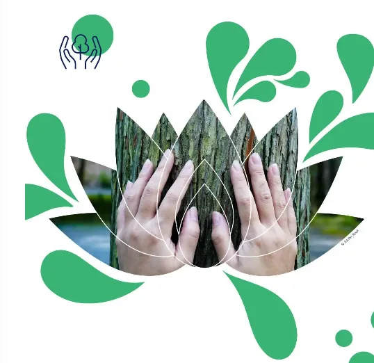 Sylvothérapie en forêt d'Ecouves