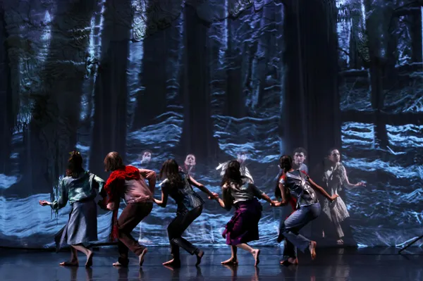 Danses en image