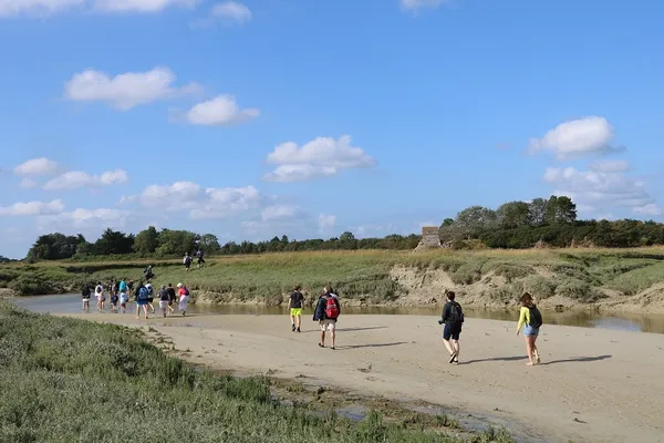 COMPLET / Sortie nature : Traversée du havre de l'Ay